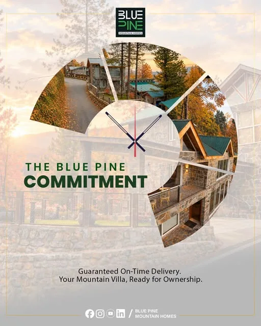 Blue Pine Mountain Homes social post 3