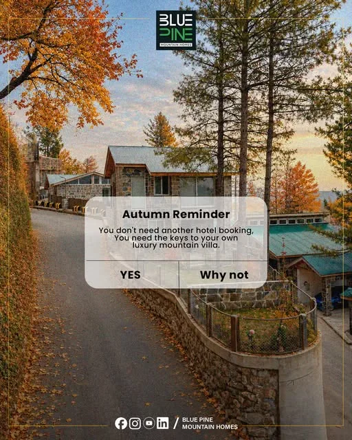 Blue Pine Mountain Homes social post 6